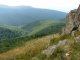 Bukowe Berdo - Pszczeliny - szlak niebieski. W pobliżu wierzchołka 1238 m.n.p.m. Autor: Maciej Bełch